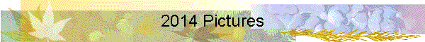 2014 Pictures