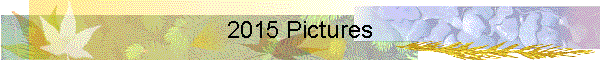 2015 Pictures
