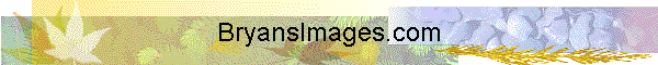 BryansImages.com